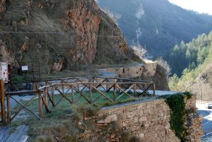 Dinosauri alla Gola del Bottaccione