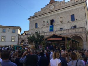 Festa della Vendemmia