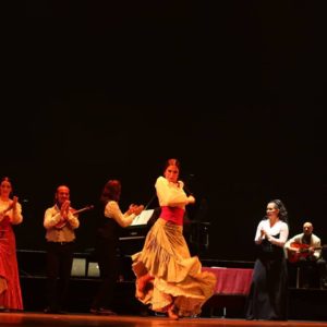 Ballet Flamenco Español di Madrid (2)